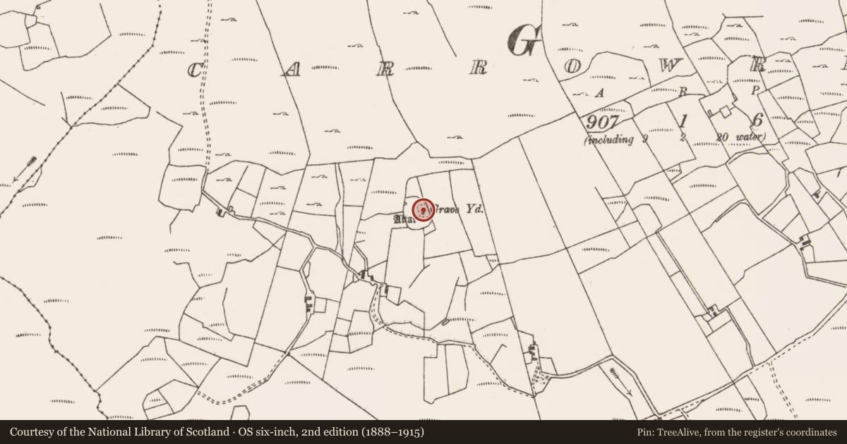 Ordnance Survey six-inch map, 2nd edition (1888–1915) covering the location of Cross-slab, Carrowrevagh, County Mayo, with a pin at the register's coordinates