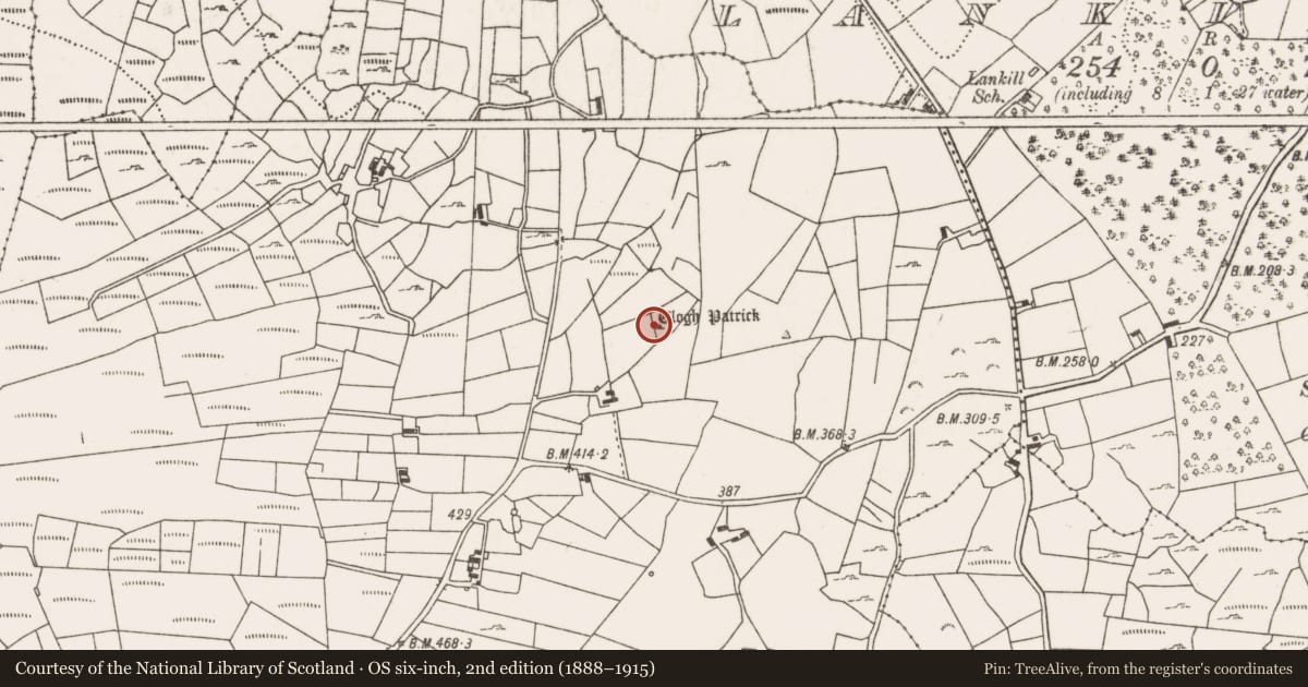 Ordnance Survey six-inch map, 2nd edition (1888–1915) covering the location of Enclosure, Lanmore, County Mayo, with a pin at the register's coordinates