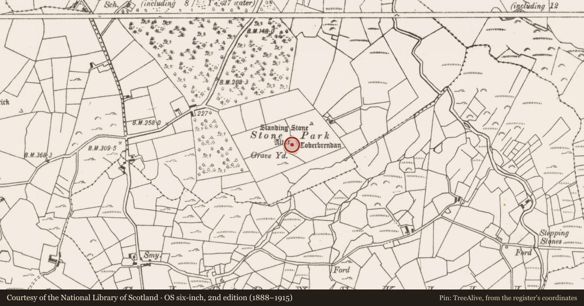Ordnance Survey six-inch map, 2nd edition (1888–1915) covering the location of Cross-inscribed stone, Lankill, County Mayo, with a pin at the register's coordinates