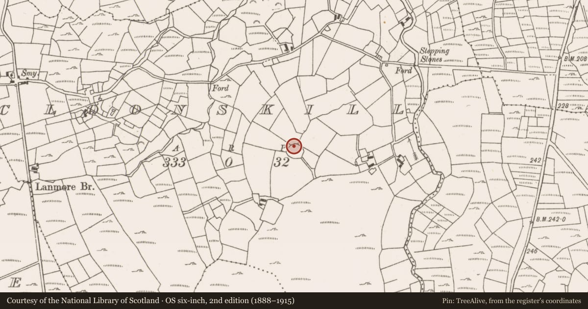 Ordnance Survey six-inch map, 2nd edition (1888–1915) covering the location of Bullaun stone, Cloonskill, County Mayo, with a pin at the register's coordinates
