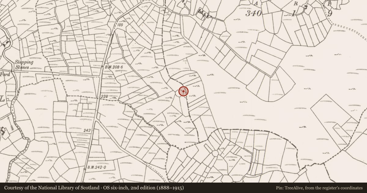 Ordnance Survey six-inch map, 2nd edition (1888–1915) covering the location of Ringfort - cashel, Ballygolman, County Mayo, with a pin at the register's coordinates