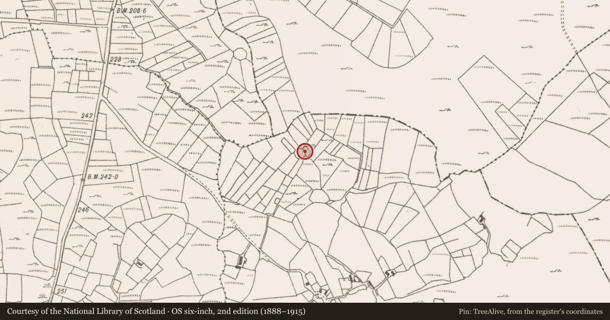 Ordnance Survey six-inch map, 2nd edition (1888–1915) covering the location of Ringfort - cashel, Corveagh Upper, County Mayo, with a pin at the register's coordinates