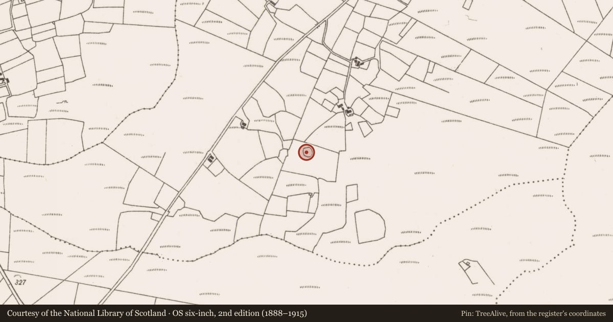 Ordnance Survey six-inch map, 2nd edition (1888–1915) covering the location of Ringfort - cashel, Lanmore, County Mayo, with a pin at the register's coordinates