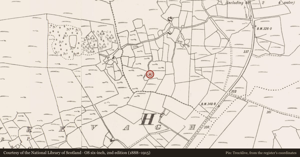 Ordnance Survey six-inch map, 2nd edition (1888–1915) covering the location of Enclosure, Carrowmore (Murrisk By., Aghagower. Par.), County Mayo, with a pin at the register's coordinates