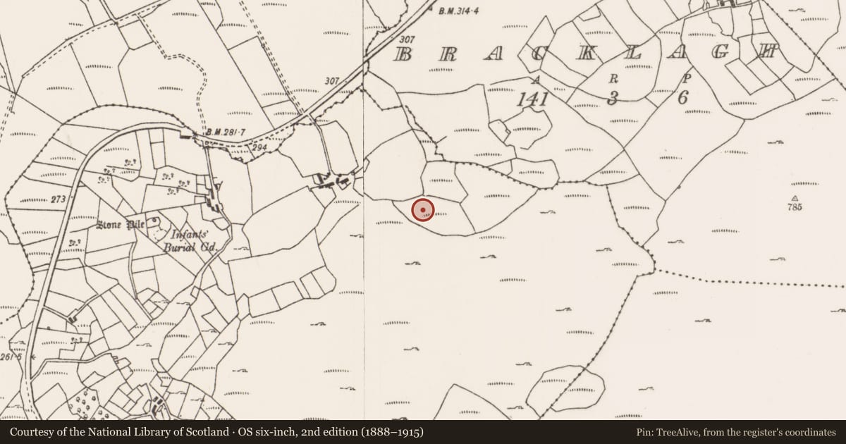 Ordnance Survey six-inch map, 2nd edition (1888–1915) covering the location of Ringfort - rath, Carrowkennedy, County Mayo, with a pin at the register's coordinates