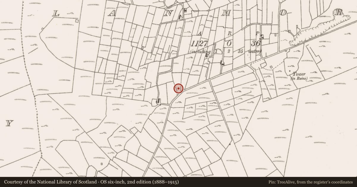 Ordnance Survey six-inch map, 2nd edition (1888–1915) covering the location of Earthwork, Lanmore, County Mayo, with a pin at the register's coordinates