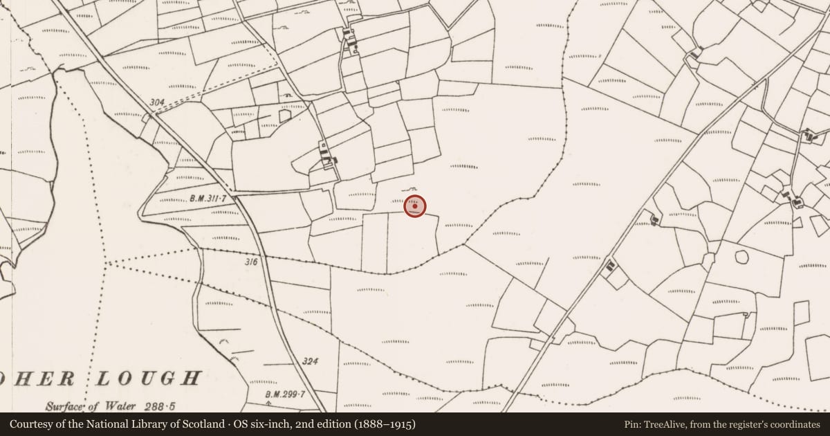 Ordnance Survey six-inch map, 2nd edition (1888–1915) covering the location of Stone row, Liscarney, County Mayo, with a pin at the register's coordinates