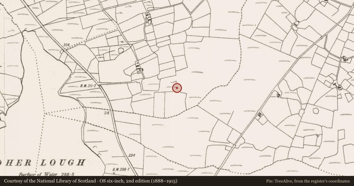 Ordnance Survey six-inch map, 2nd edition (1888–1915) covering the location of Standing stone, Liscarney, County Mayo, with a pin at the register's coordinates