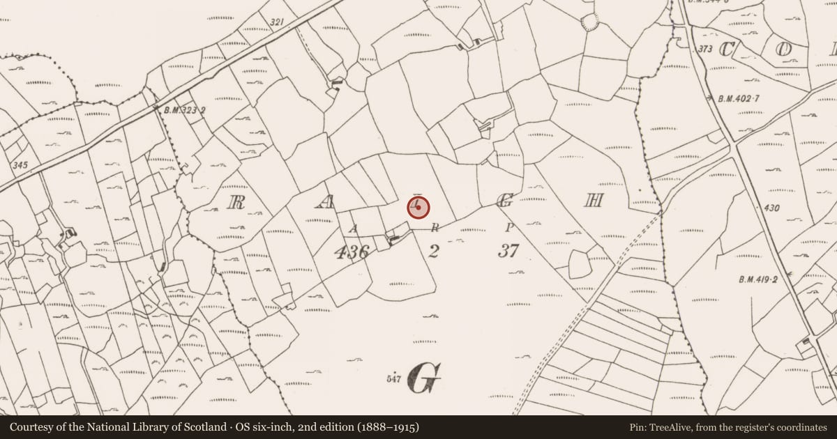 Ordnance Survey six-inch map, 2nd edition (1888–1915) covering the location of Fulacht fia, Raigh, County Mayo, with a pin at the register's coordinates