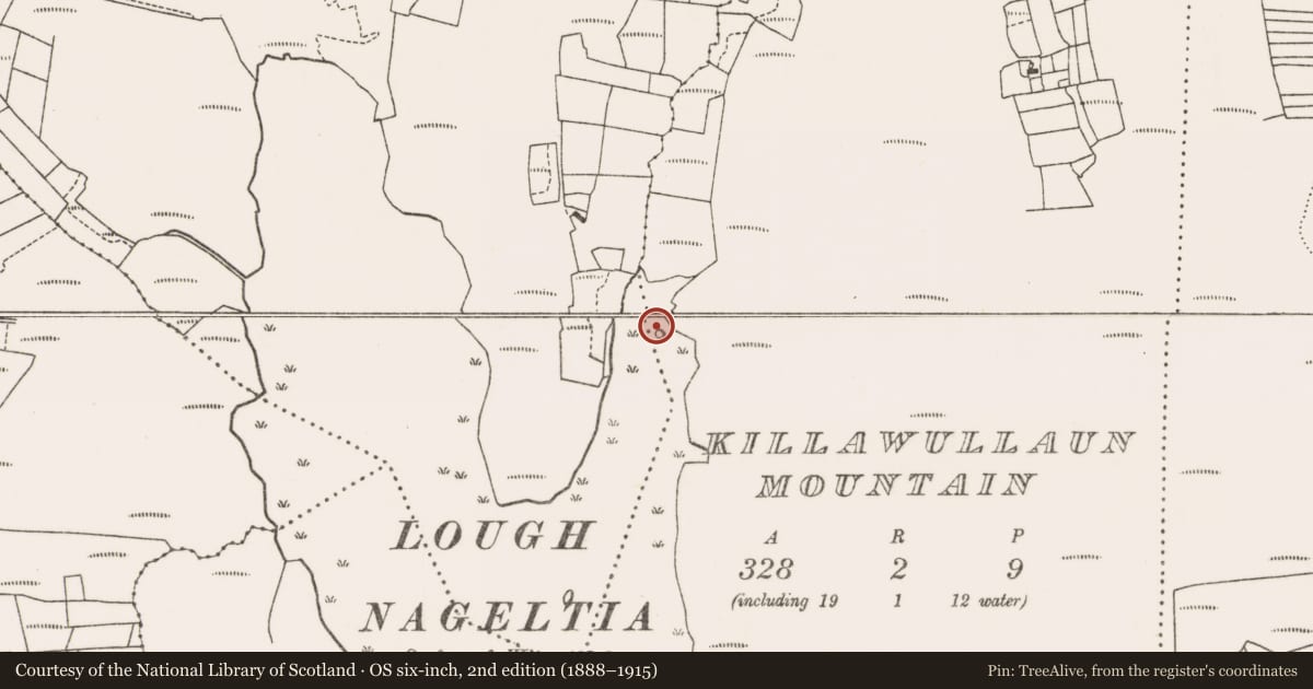 Ordnance Survey six-inch map, 2nd edition (1888–1915) covering the location of Crannog, Killawullaun Mountain, County Mayo, with a pin at the register's coordinates
