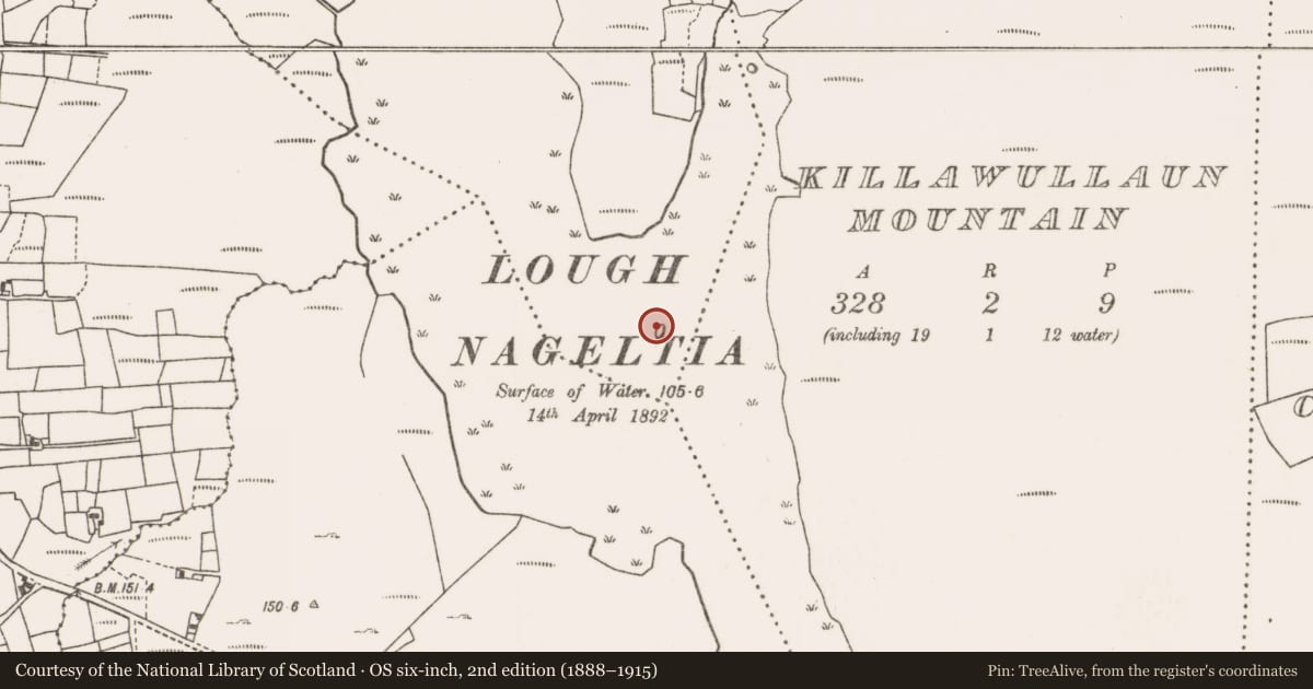 Ordnance Survey six-inch map, 2nd edition (1888–1915) covering the location of Crannog, Killavally East, County Mayo, with a pin at the register's coordinates