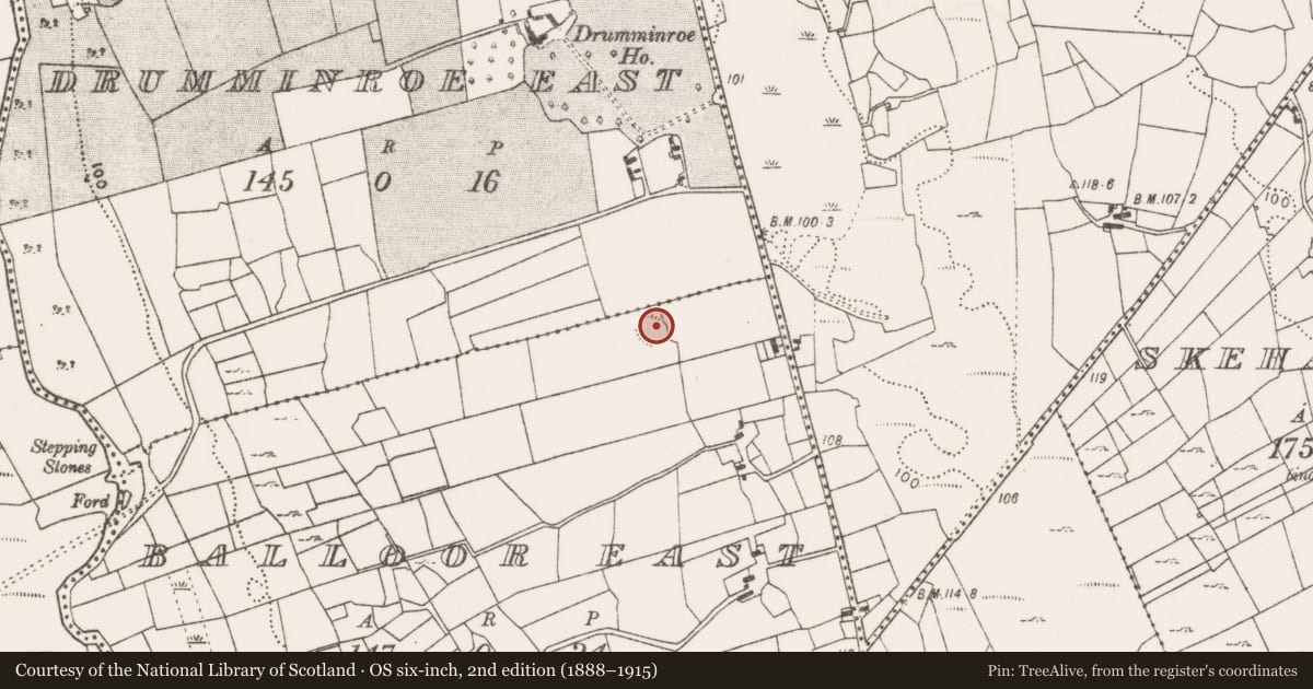 Ordnance Survey six-inch map, 2nd edition (1888–1915) covering the location of Ringfort - unclassified, Balloor East, County Mayo, with a pin at the register's coordinates