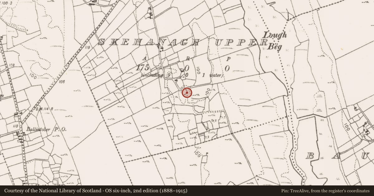 Ordnance Survey six-inch map, 2nd edition (1888–1915) covering the location of Ringfort - unclassified, Skehanagh Upper, County Mayo, with a pin at the register's coordinates