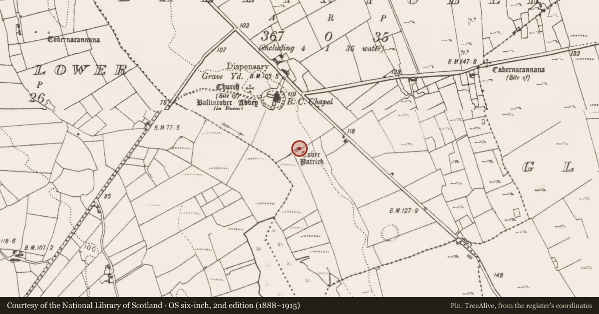 Ordnance Survey six-inch map, 2nd edition (1888–1915) covering the location of Bullaun stone, Ballintober, County Mayo, with a pin at the register's coordinates