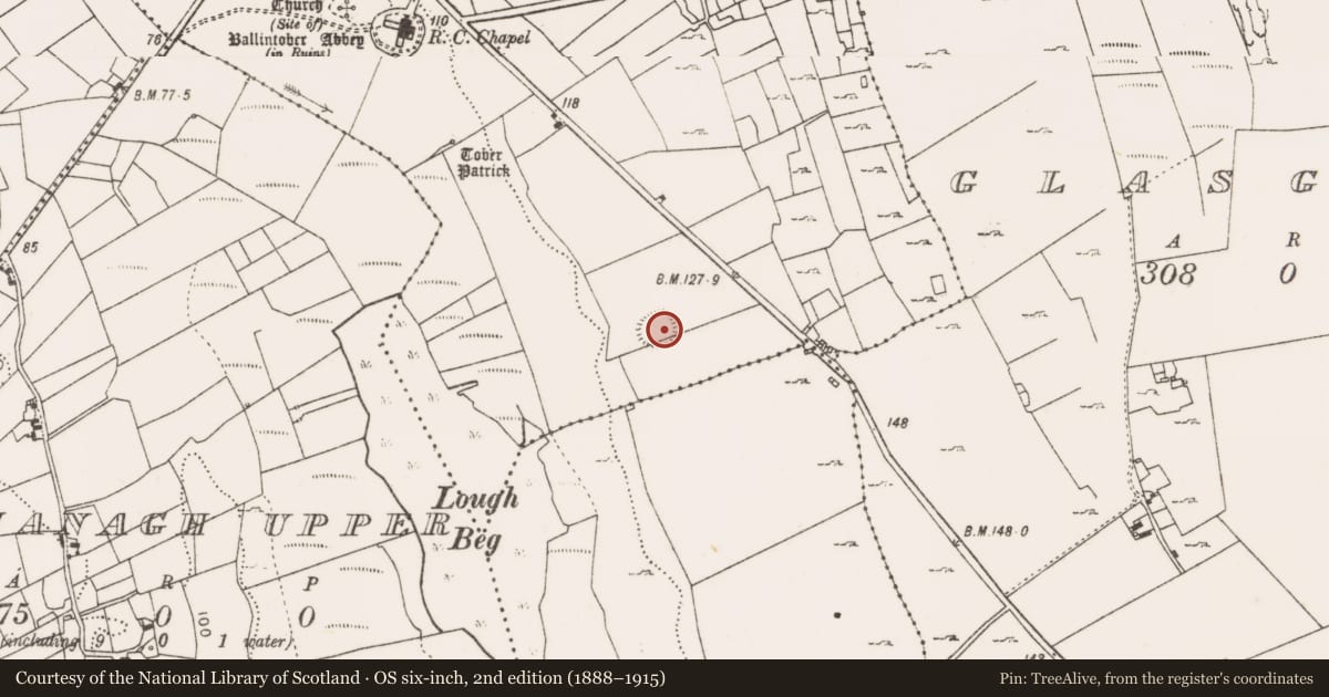 Ordnance Survey six-inch map, 2nd edition (1888–1915) covering the location of Ringfort - rath, Ballintober, County Mayo, with a pin at the register's coordinates