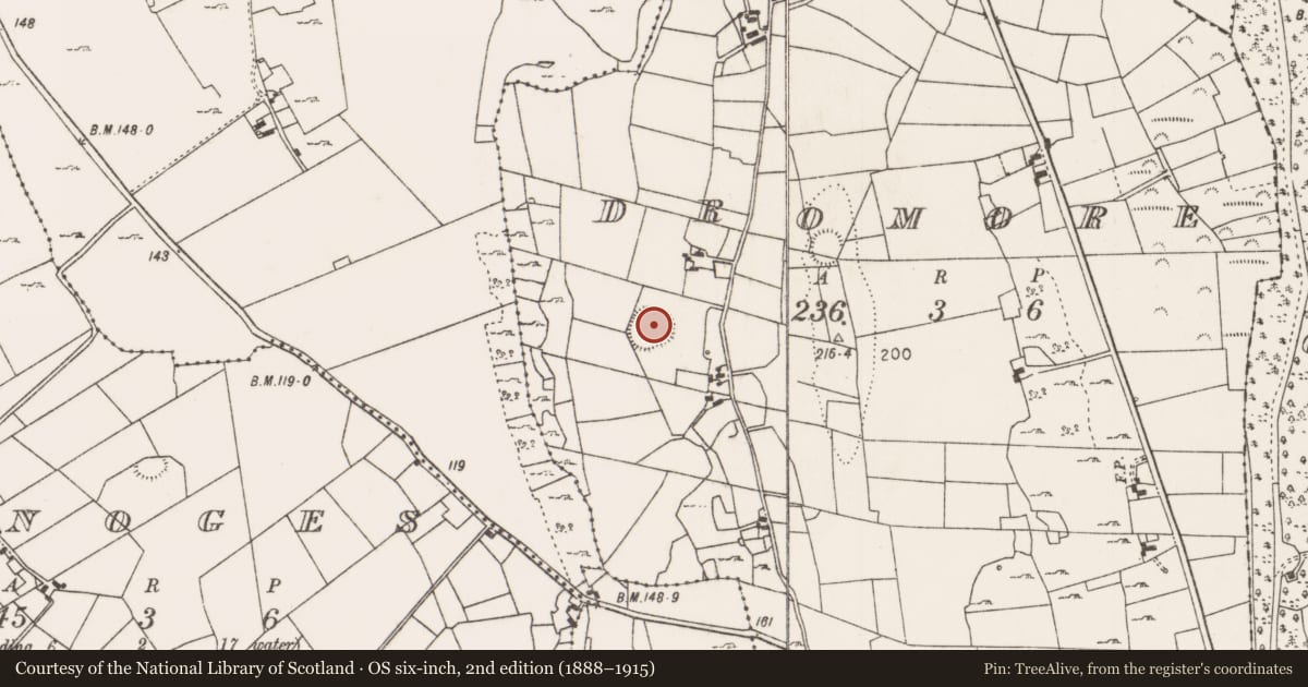 Ordnance Survey six-inch map, 2nd edition (1888–1915) covering the location of Ringfort - rath, Dromore, County Mayo, with a pin at the register's coordinates