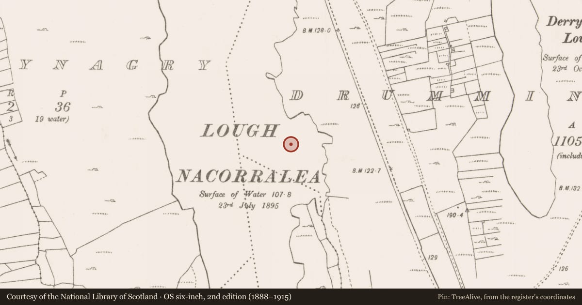 Ordnance Survey six-inch map, 2nd edition (1888–1915) covering the location of Crannog, Drumminroe West, County Mayo, with a pin at the register's coordinates