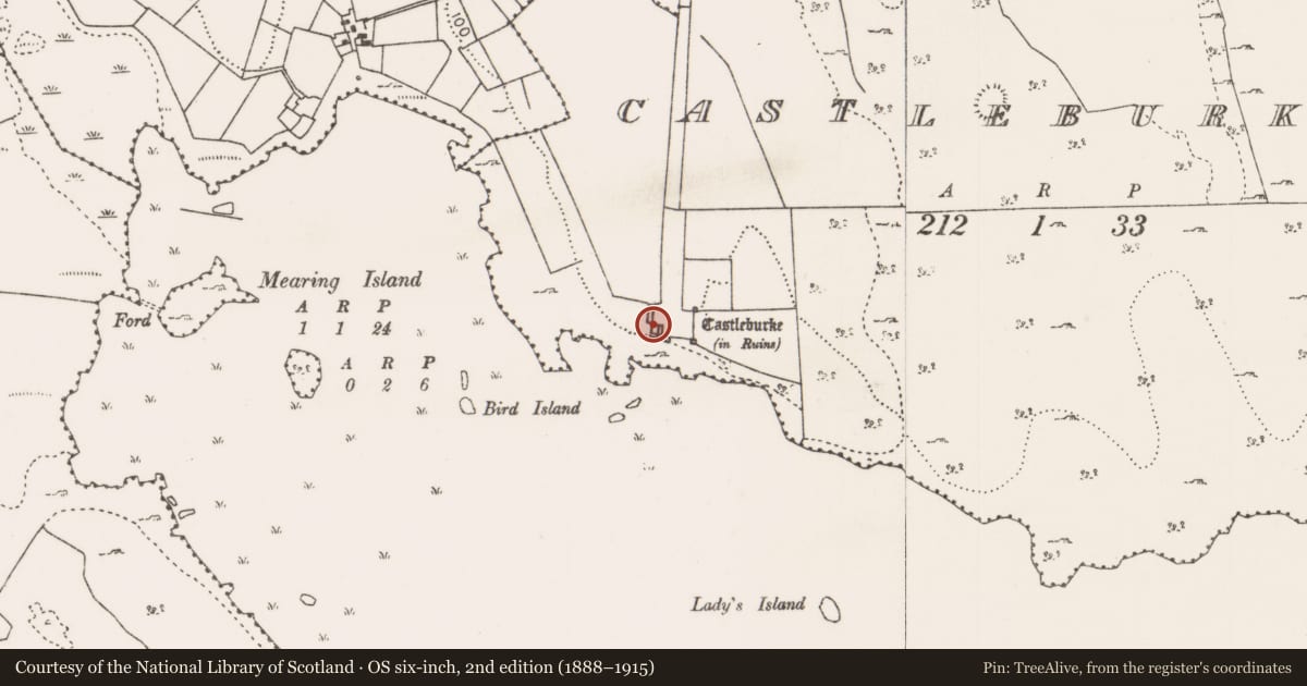 Ordnance Survey six-inch map, 2nd edition (1888–1915) covering the location of Castle - tower house, Castleburke, County Mayo, with a pin at the register's coordinates