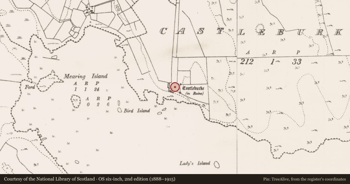 Ordnance Survey six-inch map, 2nd edition (1888–1915) covering the location of Bawn, Castleburke, County Mayo, with a pin at the register's coordinates