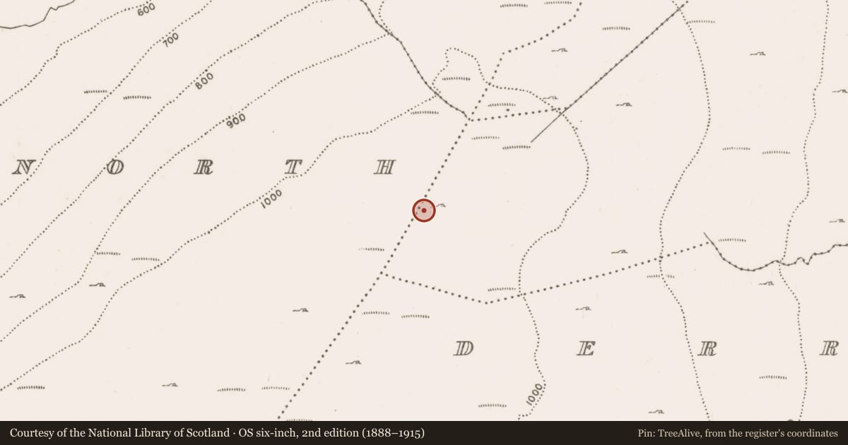 Ordnance Survey six-inch map, 2nd edition (1888–1915) covering the location of Mound, Bohaun North, County Mayo, with a pin at the register's coordinates