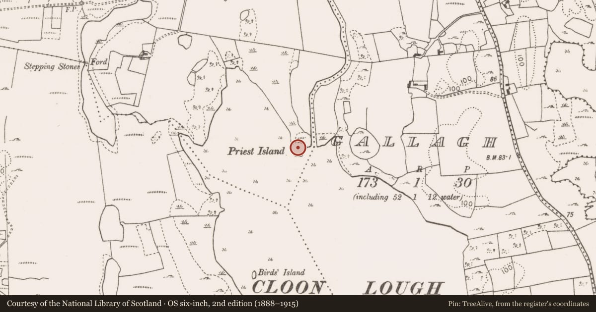 Ordnance Survey six-inch map, 2nd edition (1888–1915) covering the location of Crannog, Derrew (Carra By., Ballyovey Par.), County Mayo, with a pin at the register's coordinates