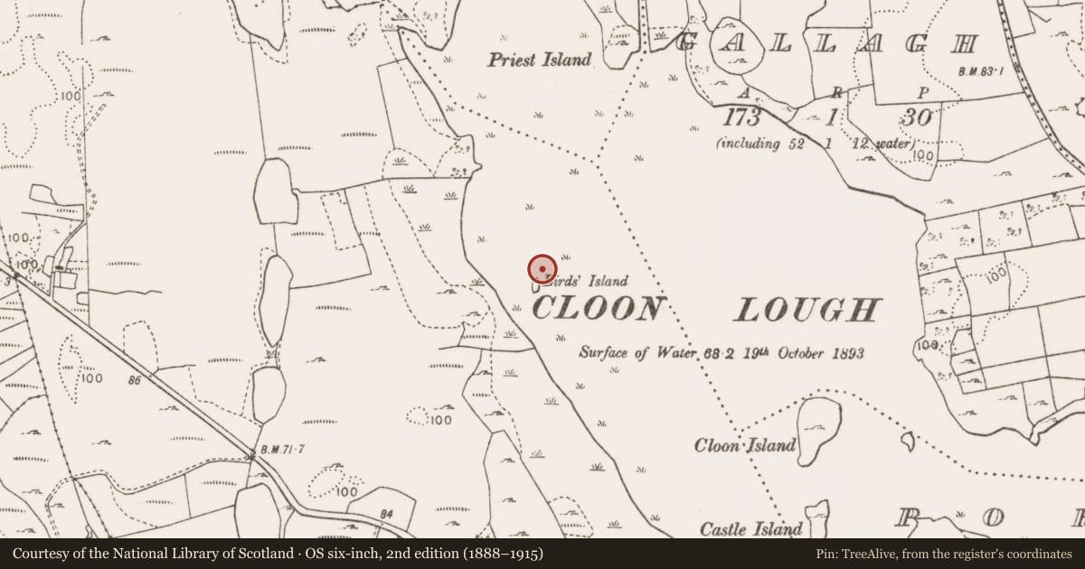 Ordnance Survey six-inch map, 2nd edition (1888–1915) covering the location of Crannog, Newtown (Carra By., Ballyovey Par.), County Mayo, with a pin at the register's coordinates