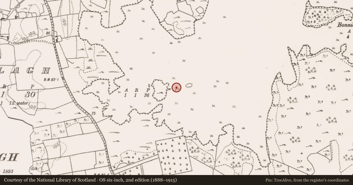 Ordnance Survey six-inch map, 2nd edition (1888–1915) covering the location of Crannog, Lough Carra, County Mayo, with a pin at the register's coordinates