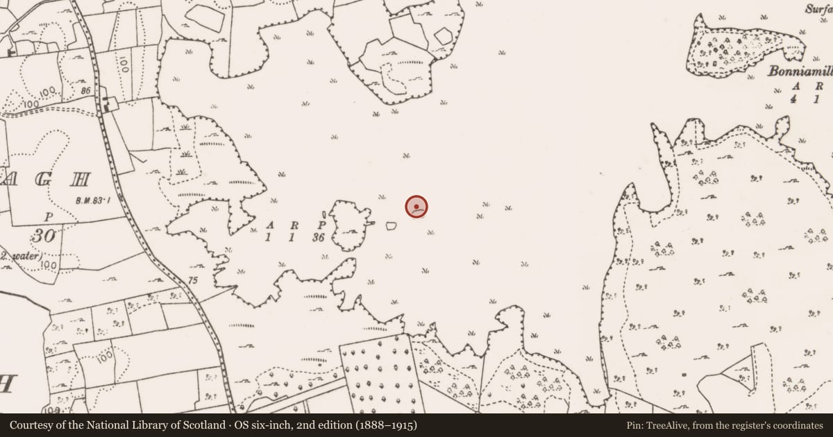 Ordnance Survey six-inch map, 2nd edition (1888–1915) covering the location of Crannog, Lough Carra, County Mayo, with a pin at the register's coordinates