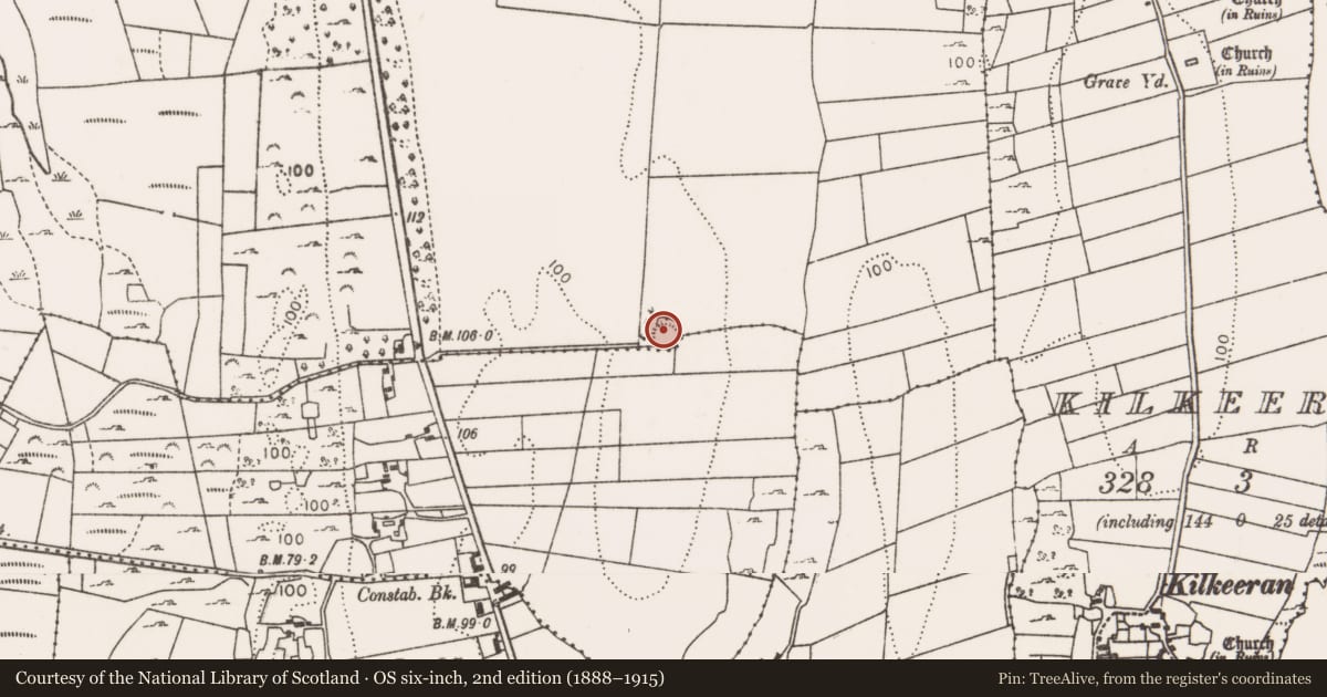 Ordnance Survey six-inch map, 2nd edition (1888–1915) covering the location of Ringfort - rath, Portroyal, County Mayo, with a pin at the register's coordinates