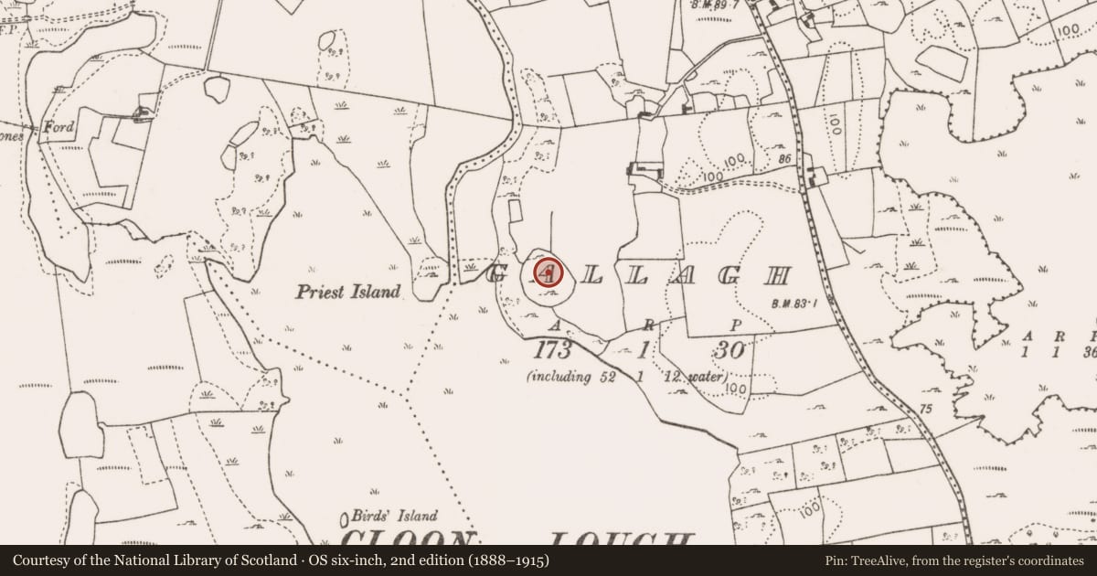 Ordnance Survey six-inch map, 2nd edition (1888–1915) covering the location of Ringfort - cashel, Gallagh, County Mayo, with a pin at the register's coordinates