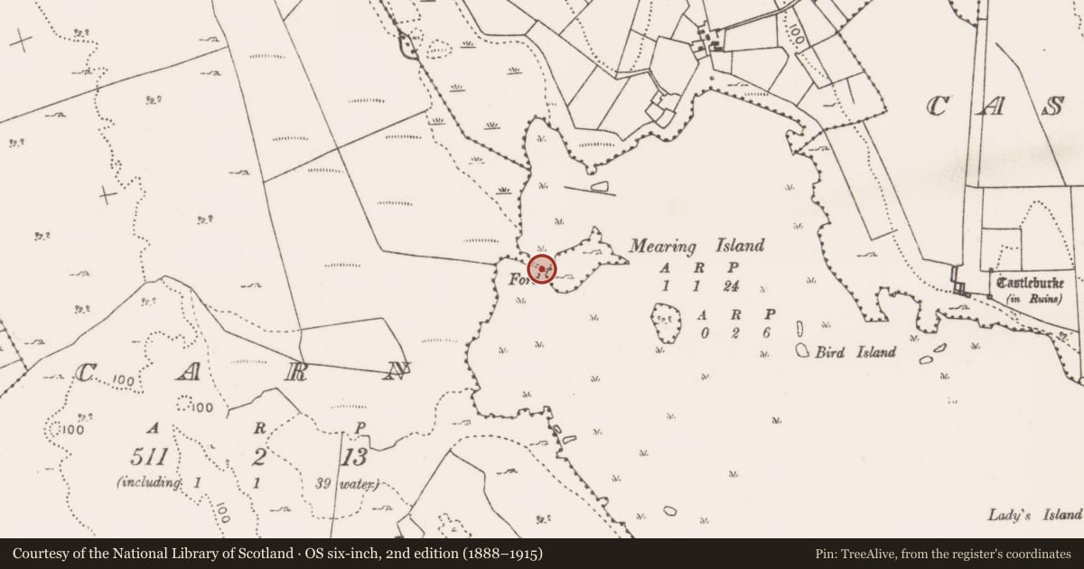 Ordnance Survey six-inch map, 2nd edition (1888–1915) covering the location of Causeway, Lough Carra, County Mayo, with a pin at the register's coordinates