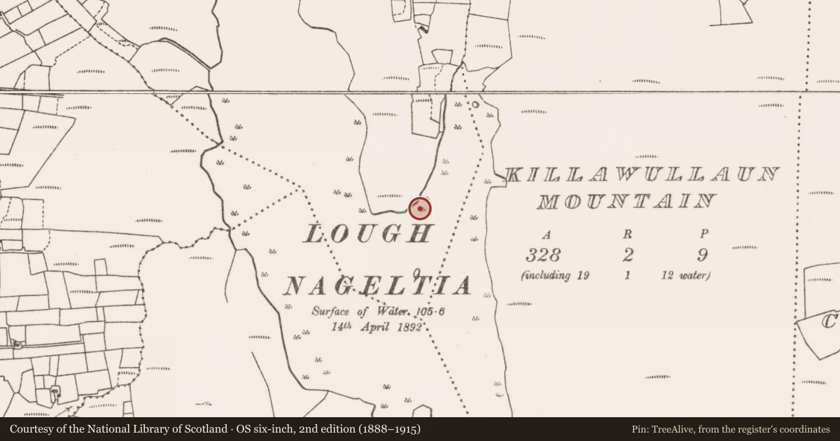 Ordnance Survey six-inch map, 2nd edition (1888–1915) covering the location of Crannog, Killavally East, County Mayo, with a pin at the register's coordinates
