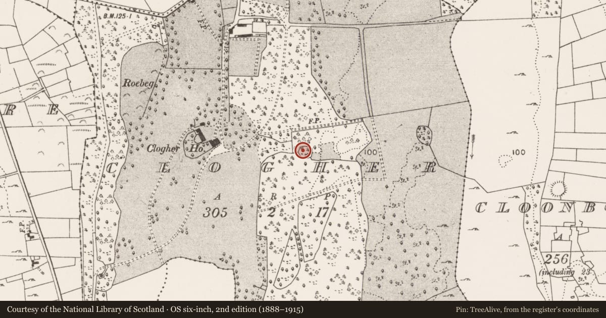 Ordnance Survey six-inch map, 2nd edition (1888–1915) covering the location of Enclosure, Clogher (Carra By., Burriscarra Par.), County Mayo, with a pin at the register's coordinates