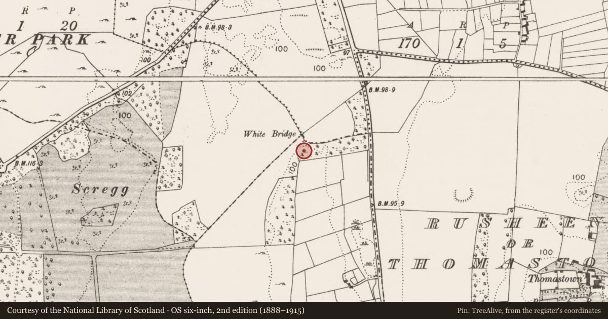 Ordnance Survey six-inch map, 2nd edition (1888–1915) covering the location of Enclosure, Cloonboorhy, County Mayo, with a pin at the register's coordinates