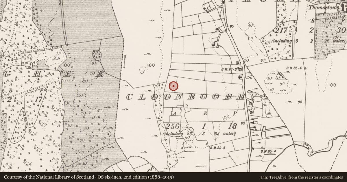 Ordnance Survey six-inch map, 2nd edition (1888–1915) covering the location of Ringfort - rath, Cloonboorhy, County Mayo, with a pin at the register's coordinates