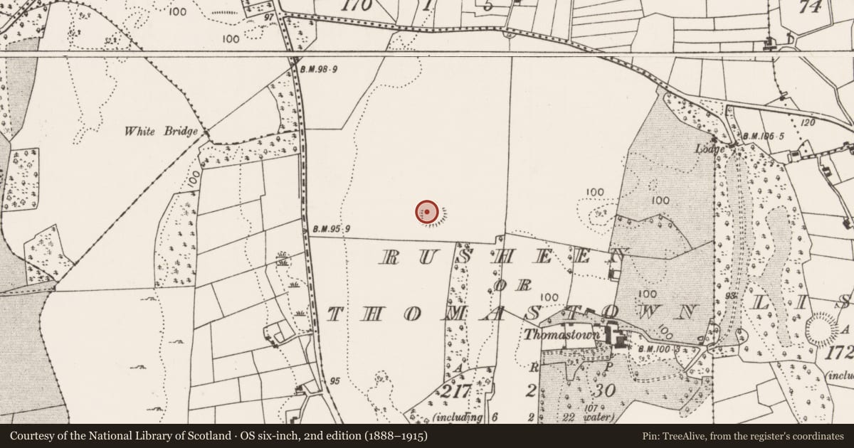 Ordnance Survey six-inch map, 2nd edition (1888–1915) covering the location of Enclosure, Rusheen Or Thomastown, County Mayo, with a pin at the register's coordinates