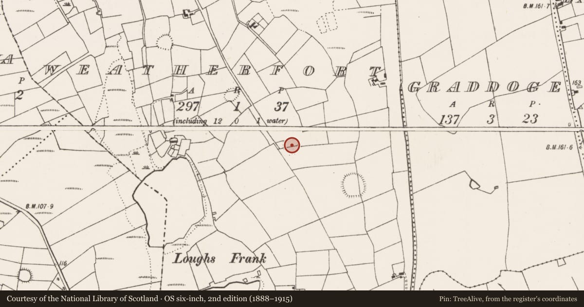 Ordnance Survey six-inch map, 2nd edition (1888–1915) covering the location of Ringfort - rath, Weatherfort, County Mayo, with a pin at the register's coordinates