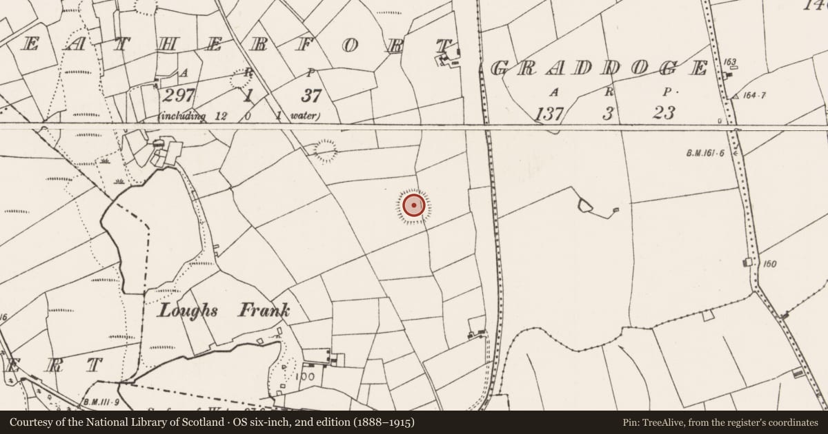 Ordnance Survey six-inch map, 2nd edition (1888–1915) covering the location of Ringfort - rath, Weatherfort, County Mayo, with a pin at the register's coordinates