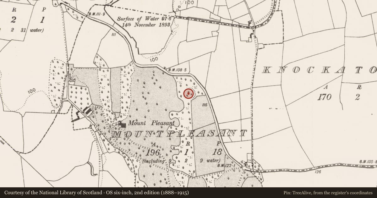 Ordnance Survey six-inch map, 2nd edition (1888–1915) covering the location of Ringfort - rath, Mountpleasant, County Mayo, with a pin at the register's coordinates
