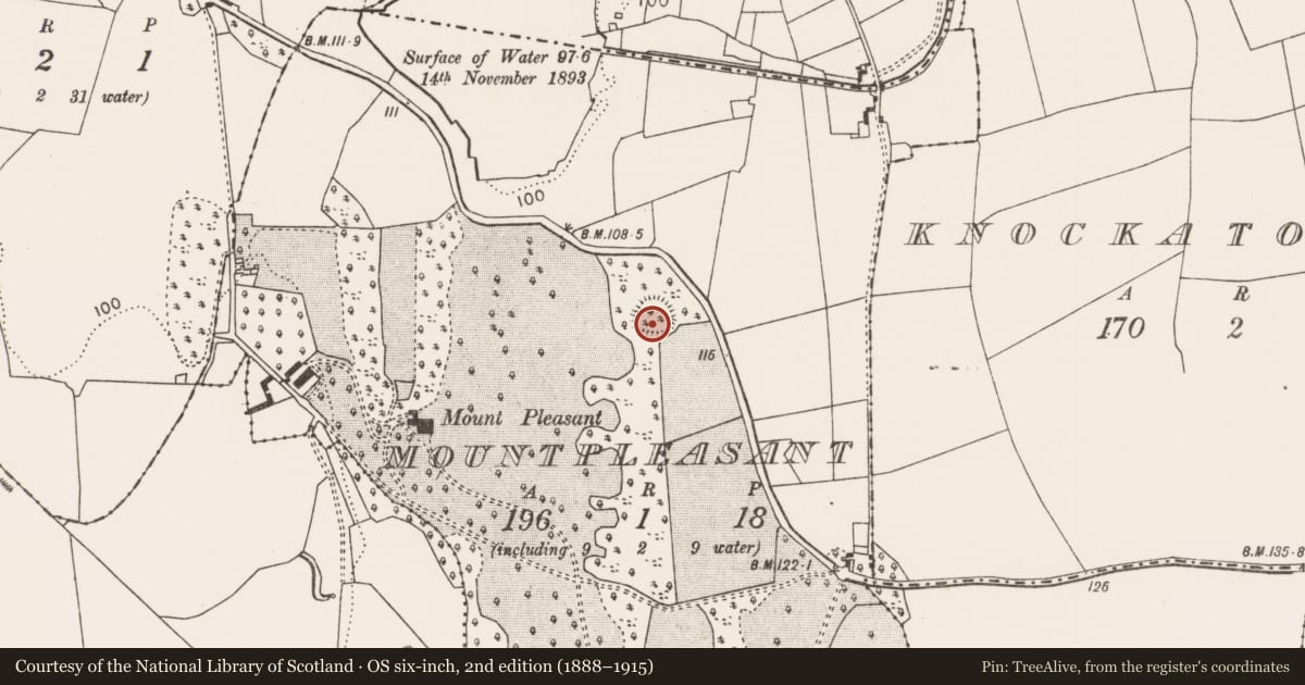 Ordnance Survey six-inch map, 2nd edition (1888–1915) covering the location of Souterrain, Mountpleasant, County Mayo, with a pin at the register's coordinates