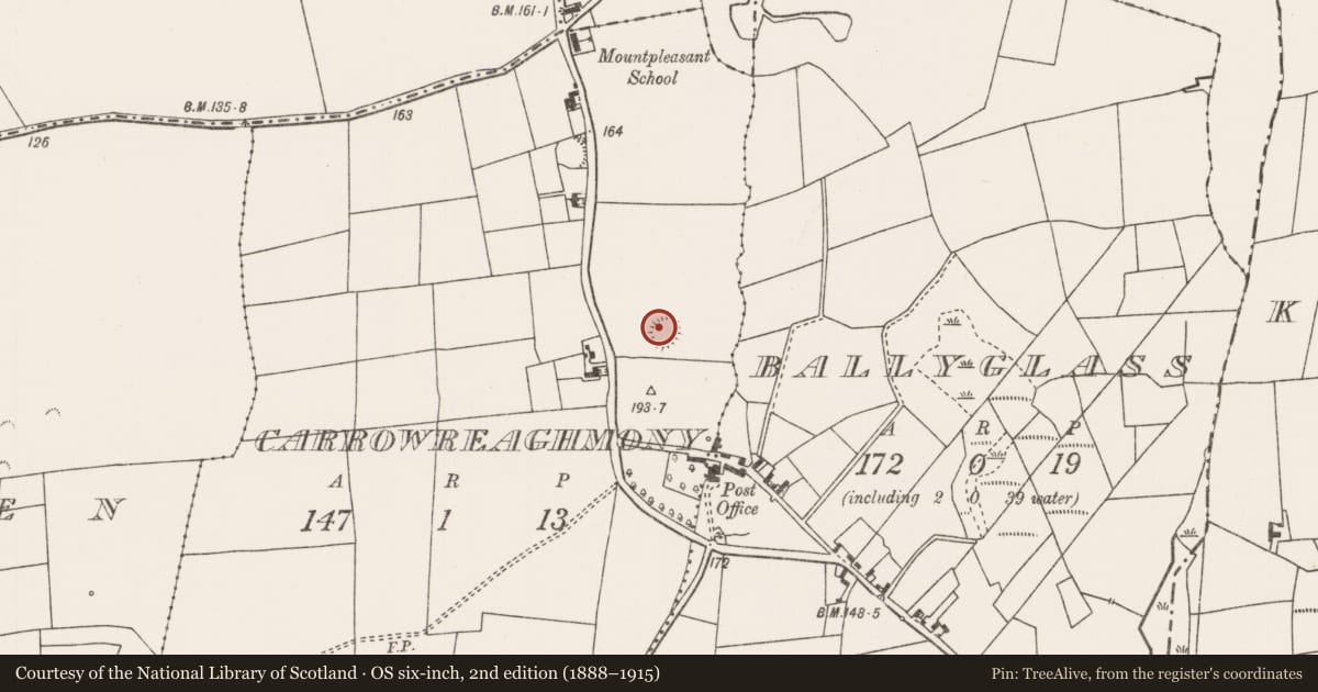 Ordnance Survey six-inch map, 2nd edition (1888–1915) covering the location of Ringfort - rath, Carrowreaghmony, County Mayo, with a pin at the register's coordinates