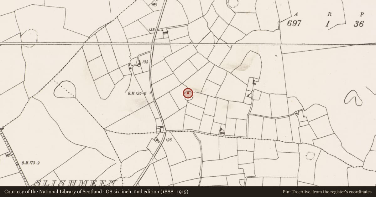 Ordnance Survey six-inch map, 2nd edition (1888–1915) covering the location of Ringfort - rath, Rathnacreeva, County Mayo, with a pin at the register's coordinates