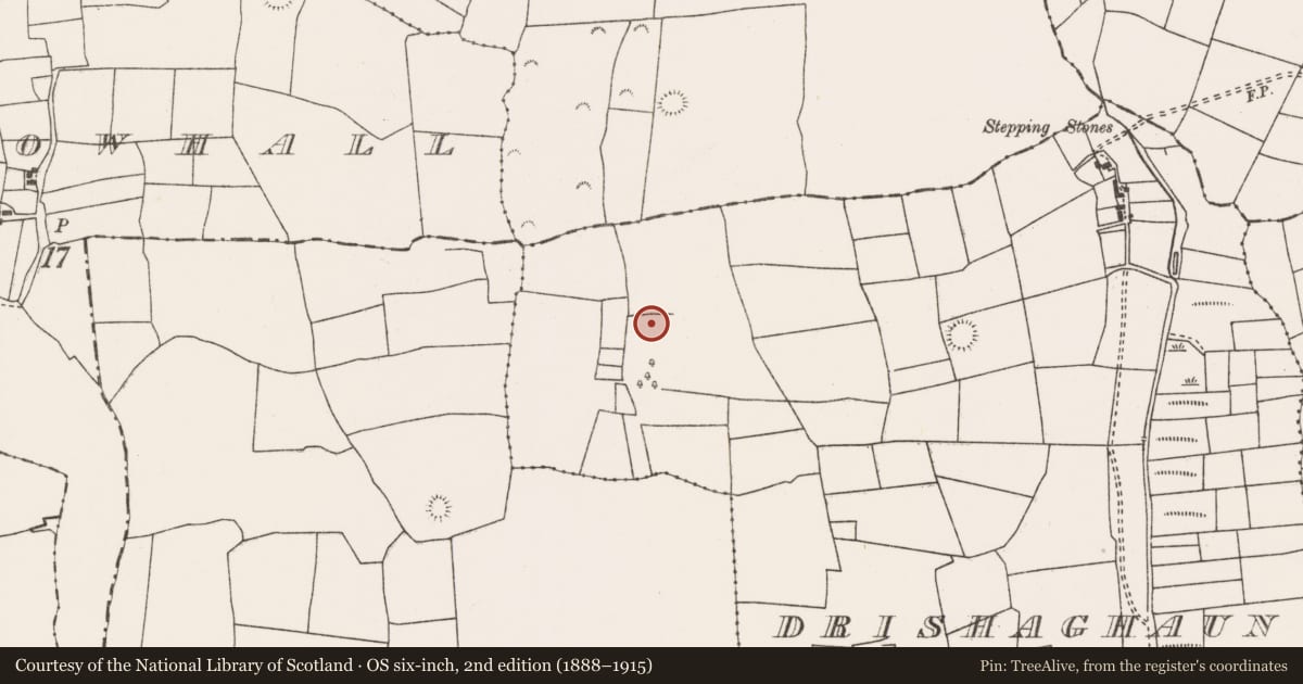 Ordnance Survey six-inch map, 2nd edition (1888–1915) covering the location of Enclosure, Drishaghaun, County Mayo, with a pin at the register's coordinates