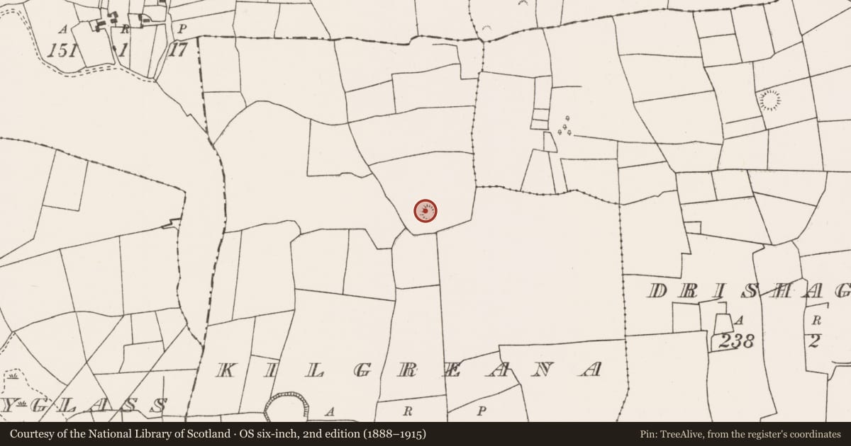 Ordnance Survey six-inch map, 2nd edition (1888–1915) covering the location of Ringfort - rath, Kilgreana, County Mayo, with a pin at the register's coordinates