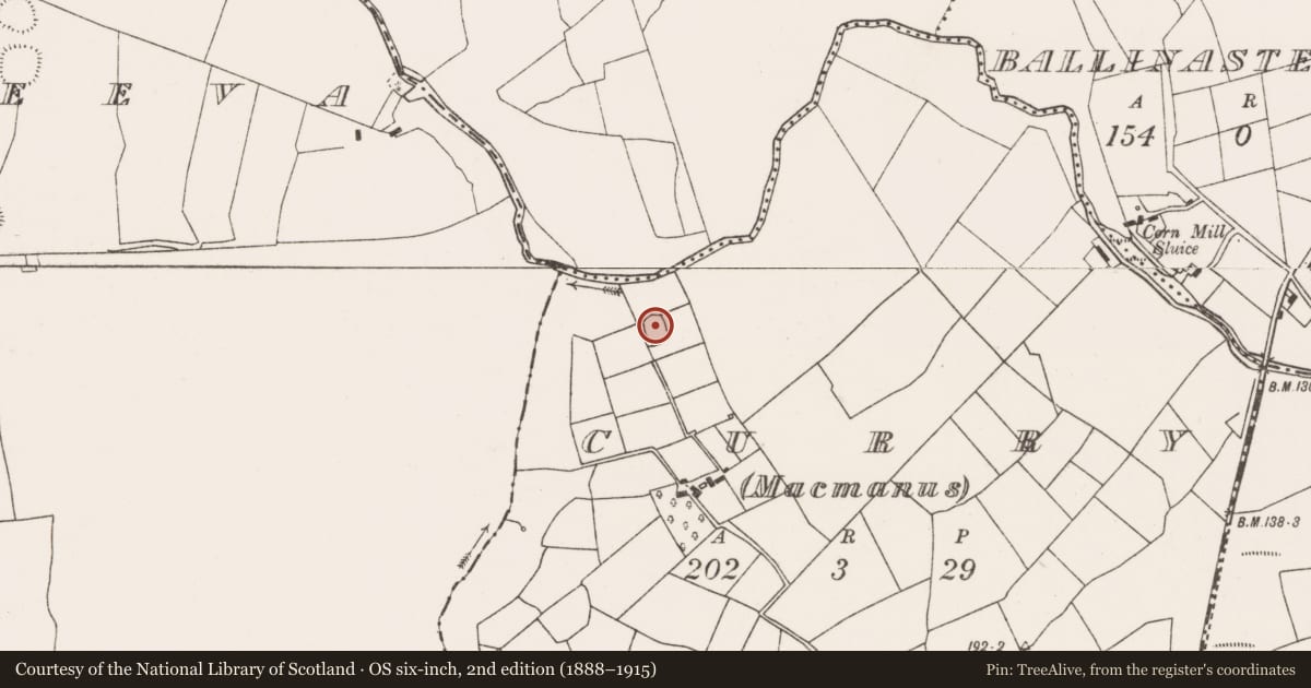 Ordnance Survey six-inch map, 2nd edition (1888–1915) covering the location of Ringfort - rath, Curry (MACMANUS), County Mayo, with a pin at the register's coordinates