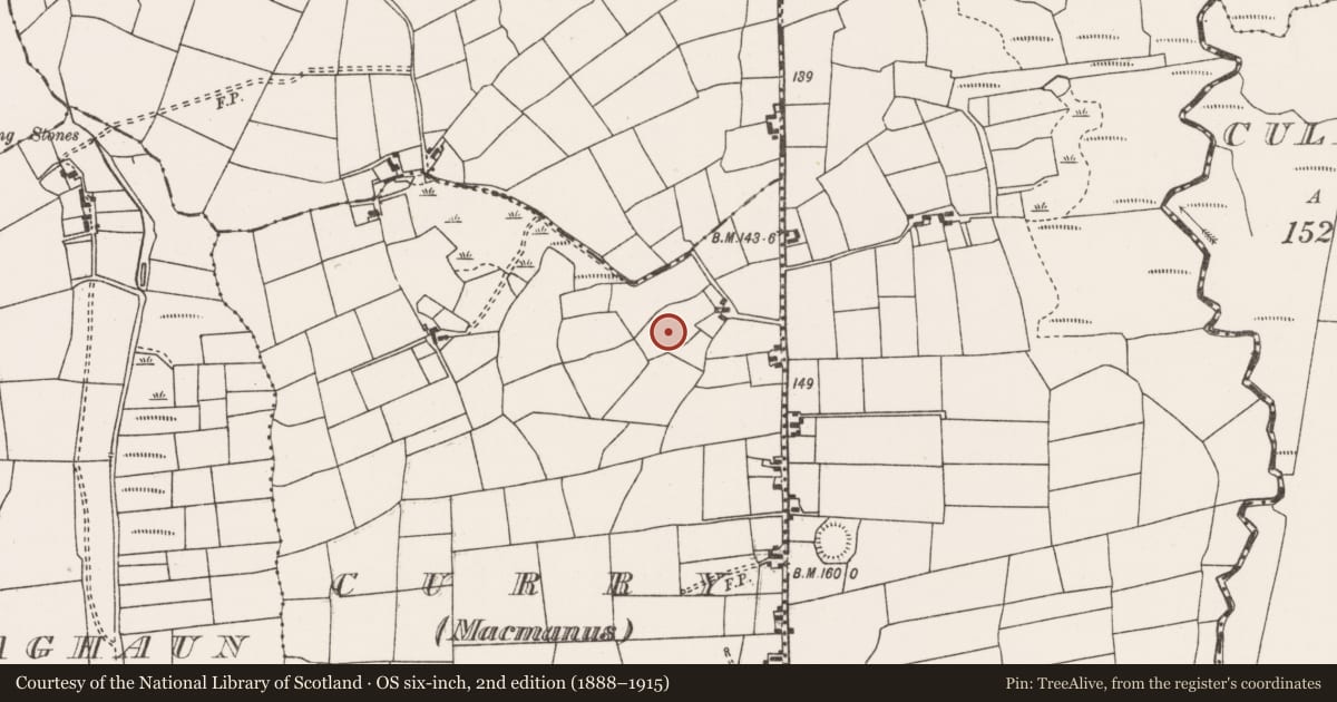 Ordnance Survey six-inch map, 2nd edition (1888–1915) covering the location of Ringfort - rath, Curry (MACMANUS), County Mayo, with a pin at the register's coordinates