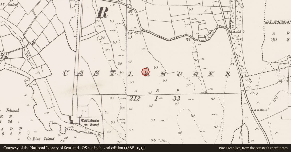 Ordnance Survey six-inch map, 2nd edition (1888–1915) covering the location of Enclosure, Castleburke, County Mayo, with a pin at the register's coordinates