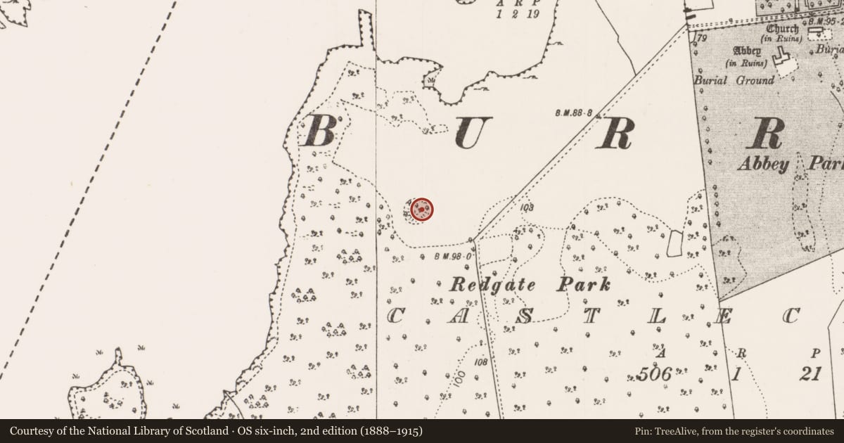 Ordnance Survey six-inch map, 2nd edition (1888–1915) covering the location of Ringfort - rath, Castlecarra, County Mayo, with a pin at the register's coordinates
