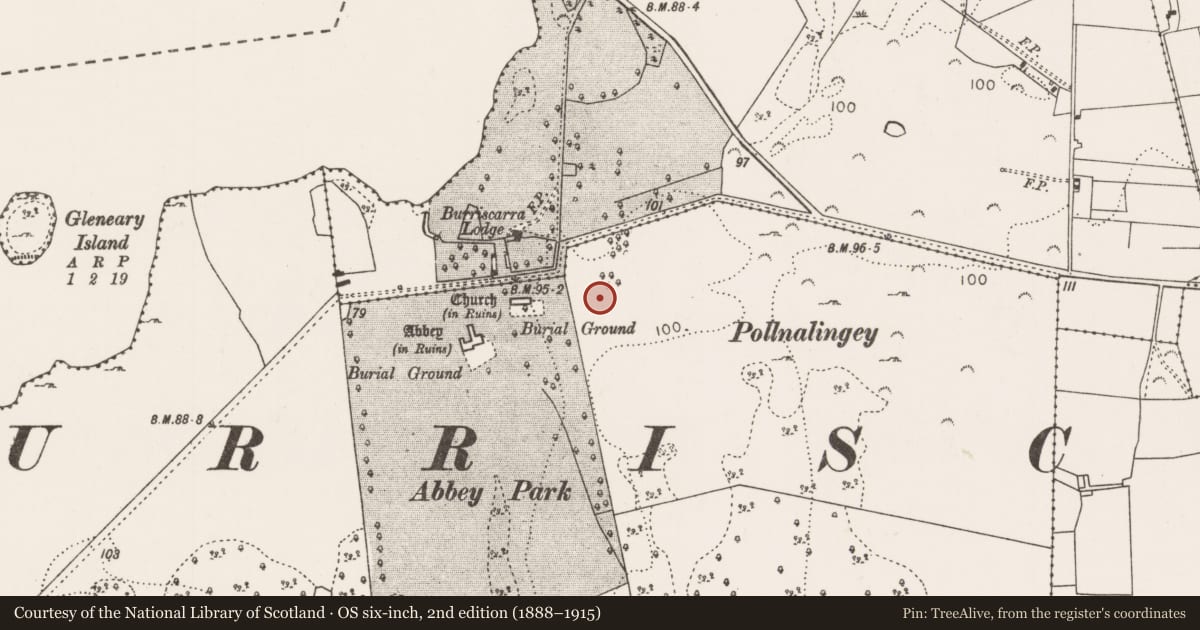 Ordnance Survey six-inch map, 2nd edition (1888–1915) covering the location of Historic town, Castlecarra, County Mayo, with a pin at the register's coordinates