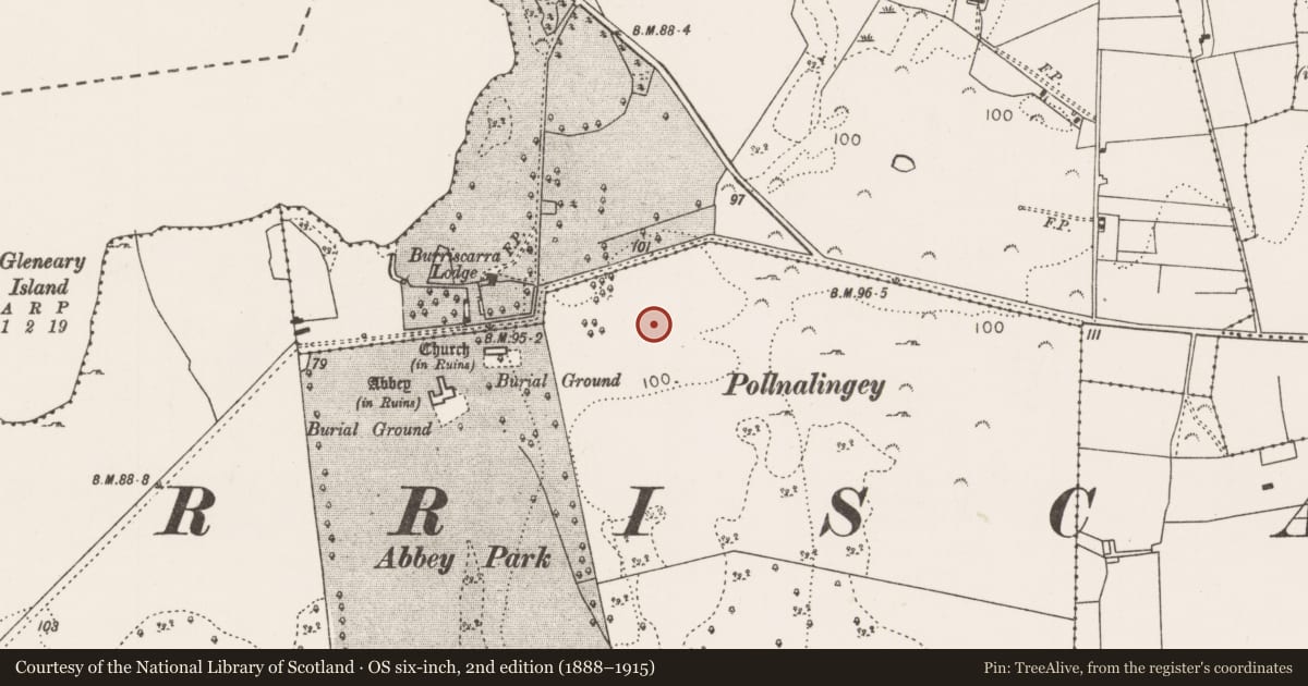 Ordnance Survey six-inch map, 2nd edition (1888–1915) covering the location of Earthwork, Castlecarra, County Mayo, with a pin at the register's coordinates